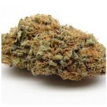 Шишки AK47  (Гидропоника, Бошка) VHQ в Майкопе